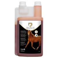 Excellent Equi Oxy Cell 1 liter