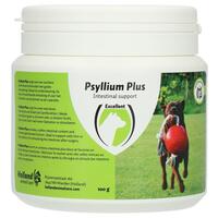 Excellent Psyllium Plus Hond 100 gram