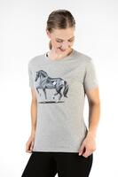 HKM t-shirt -Graphical Horse-