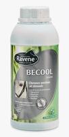 Ravene Becool 500 ml